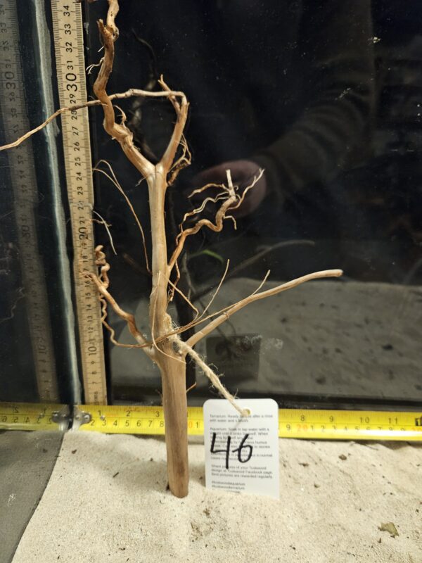 Tuskwood Aquascaping Root Bonsai Tree Style M 20-30 nr46