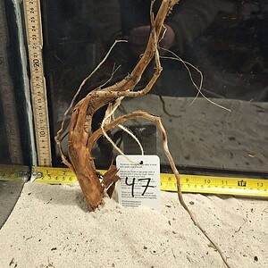 Tuskwood Aquascaping Root Bonsai Tree Style M 20-30 nr47