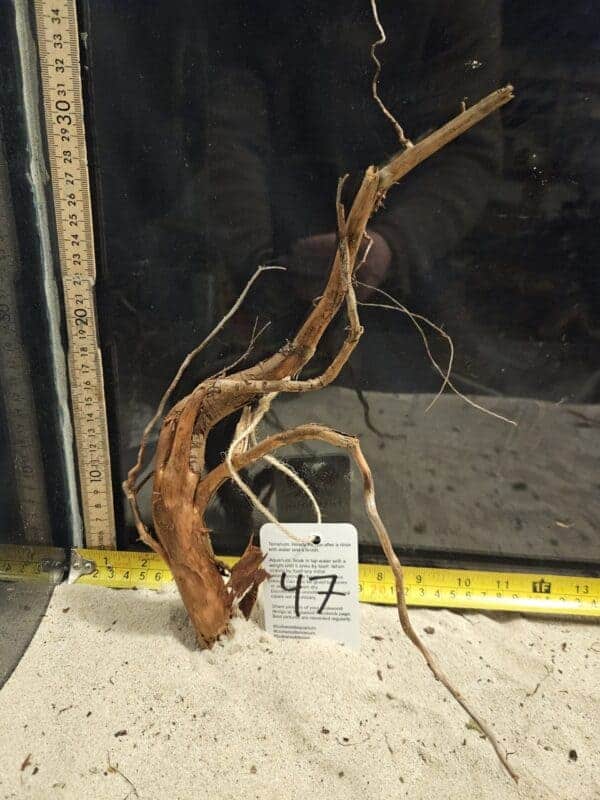 Tuskwood Aquascaping Root Bonsai Tree Style M 20-30 nr47