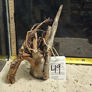 Tuskwood Aquascaping Root Bonsai Tree Style M 20-30 nr49