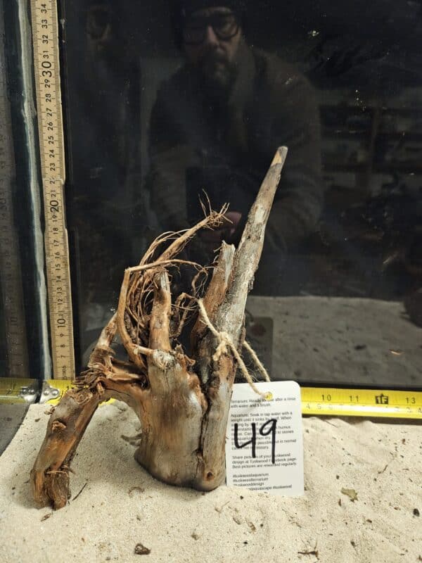 Tuskwood Aquascaping Root Bonsai Tree Style M 20-30 nr49