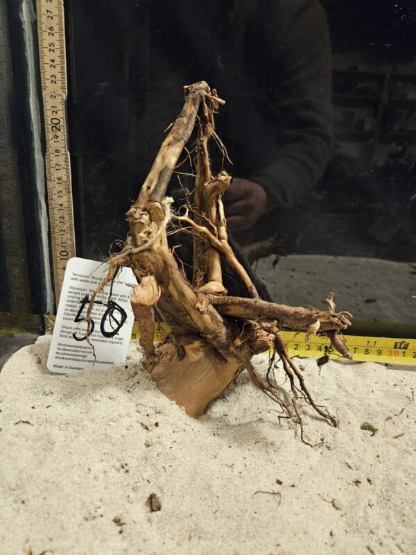 Tuskwood Aquascaping Root Bonsai Tree Style M 20-30 nr50