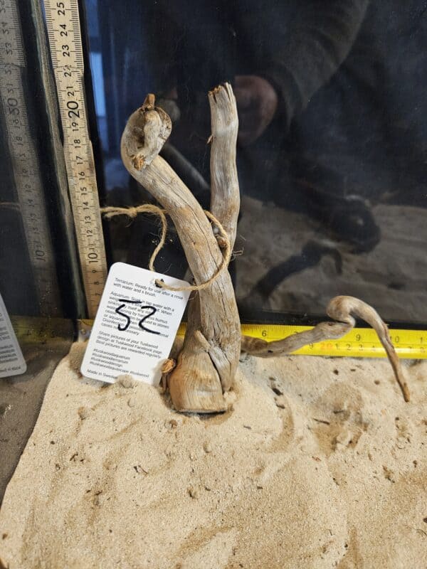 Tuskwood Aquascaping Root Bonsai Tree Style M 20-30 nr52