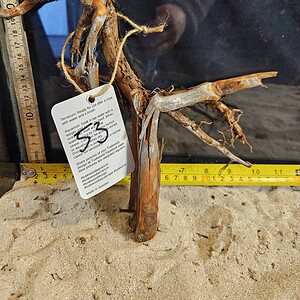 Tuskwood Aquascaping Root Bonsai Tree Style M 20-30 nr53