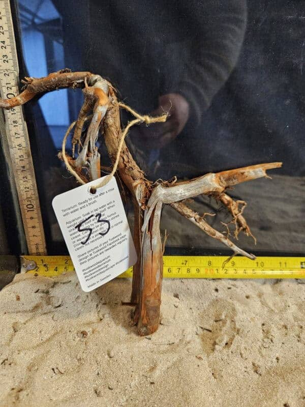 Tuskwood Aquascaping Root Bonsai Tree Style M 20-30 nr53