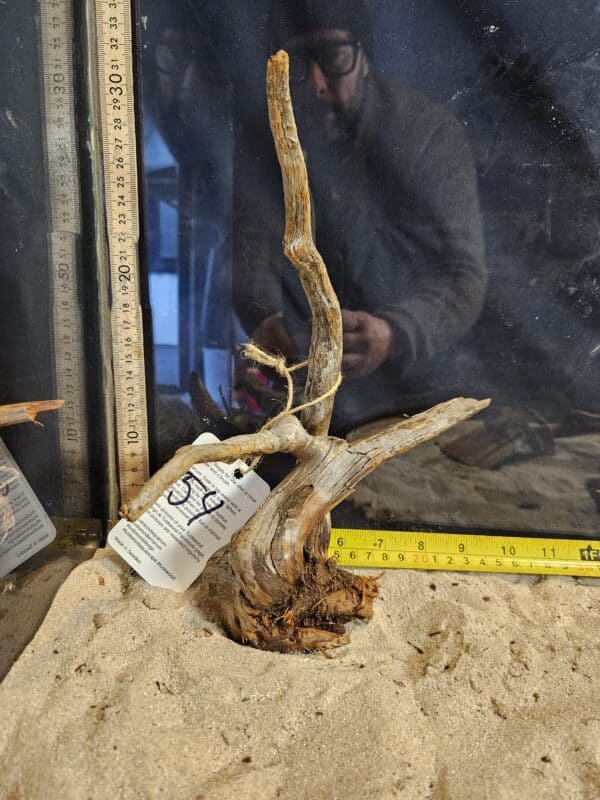 Tuskwood Aquascaping Root Bonsai Tree Style M 20-30 nr54