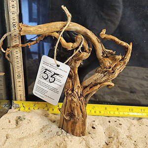 Tuskwood Aquascaping Root Bonsai Tree Style M 20-30 nr55