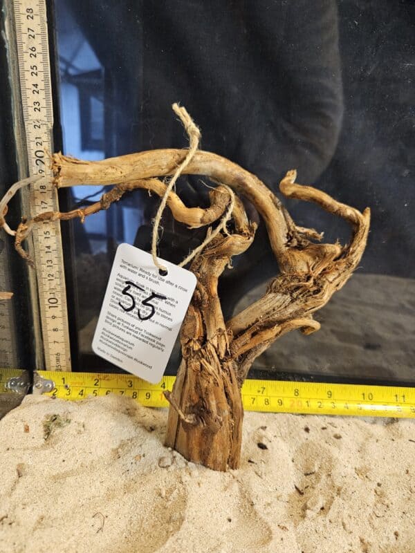 Tuskwood Aquascaping Root Bonsai Tree Style M 20-30 nr55