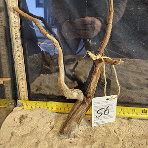 Tuskwood Aquascaping Root Bonsai Tree Style M 20-30 nr56
