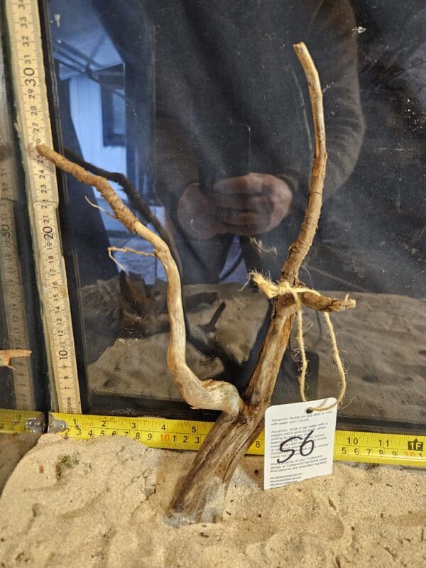 Tuskwood Aquascaping Root Bonsai Tree Style M 20-30 nr56