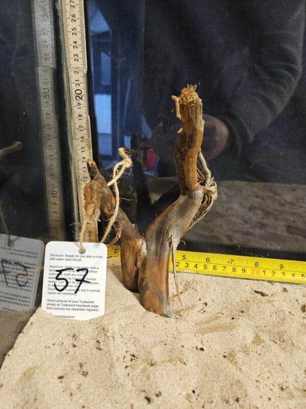 Tuskwood Aquascaping Root Bonsai Tree Style S 10-20 nr57