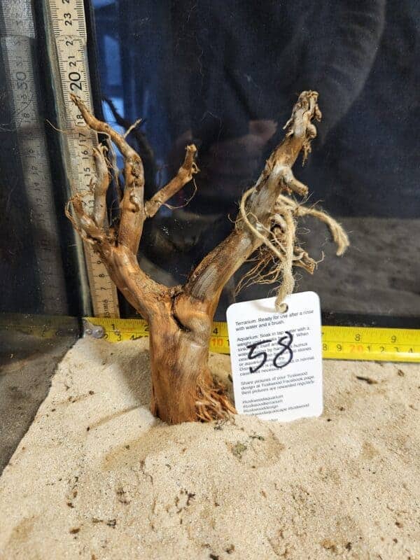 Tuskwood Aquascaping Root Bonsai Tree Style S 10-20 nr58