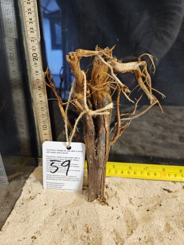 Tuskwood Aquascaping Root Bonsai Tree Style S 10-20 nr59