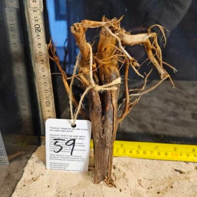 Tuskwood Aquarienwurzel in echtem Moorholz