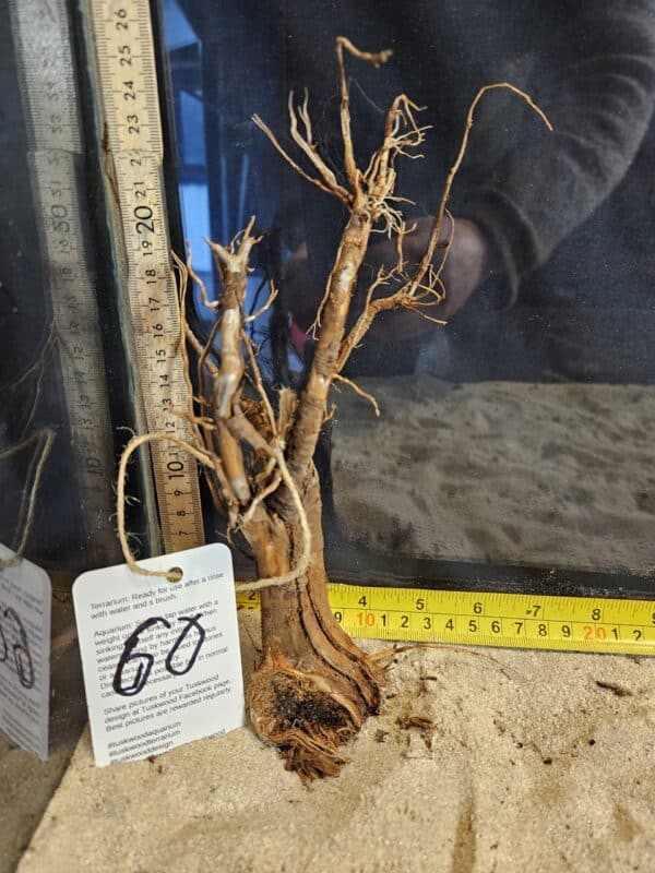 Tuskwood Aquascaping Root Bonsai Tree Style S 10-20 nr60