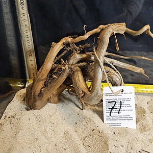 Tuskwood Aquascaping Root M Rootflow 20-30 nr71 A