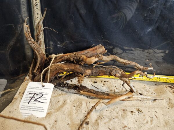 Tuskwood Aquascaping Root M Rootflow 20-30 nr72 A