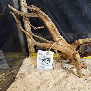 Tuskwood Aquascaping Root M Rootflow 20-30 nr73 A