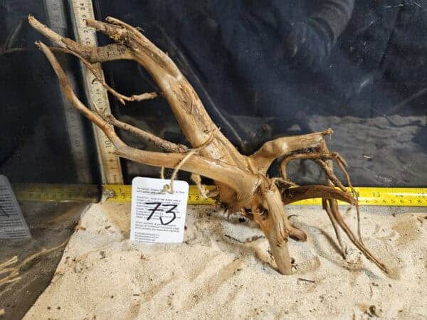 Tuskwood Aquascaping Root M Rootflow 20-30 nr73 A