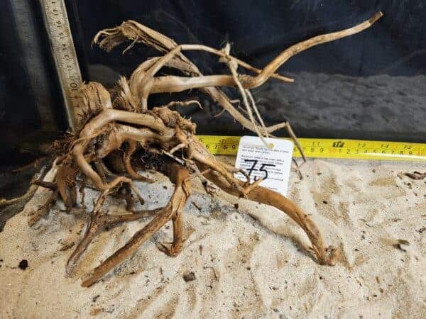 Tuskwood Aquascaping Root M Rootflow 20-30 nr75 A