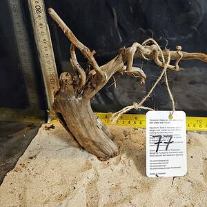 Tuskwood Aquascaping Root Bonsai Tree Style Wide M 20-30 nr77