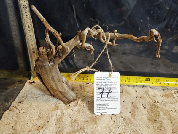 Tuskwood Aquascaping Root Bonsai Tree Style Wide M 20-30 nr77