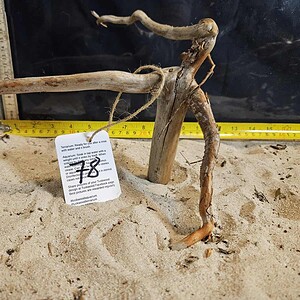 Tuskwood Aquascaping Root Bonsai Tree Style Wide M 20-30 nr78