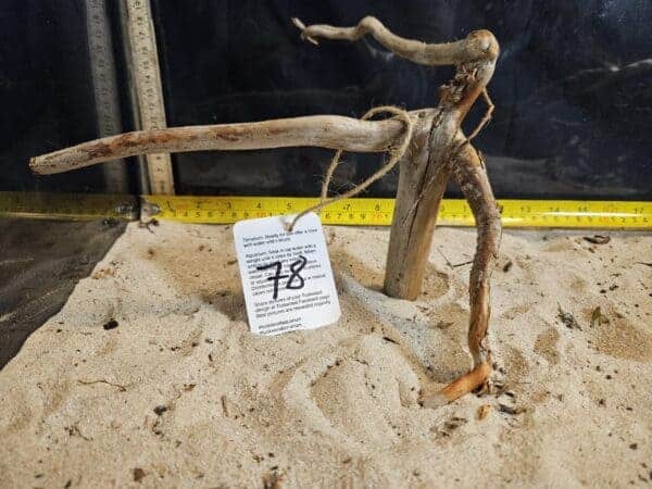 Tuskwood Aquascaping Root Bonsai Tree Style Wide M 20-30 nr78