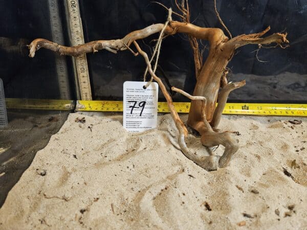 Tuskwood Aquascaping Root Bonsai Tree Style Wide M 20-30 nr79