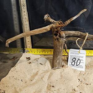 Tuskwood Aquascaping Root Bonsai Tree Style Wide M 20-30 nr80