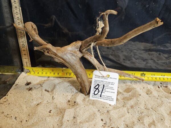 Tuskwood Aquascaping Root Bonsai Tree Style Wide M 20-30 nr81