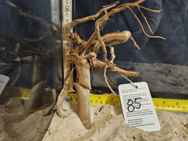 Tuskwood Aquascaping Root Bonsai Tree Style S 10-20 nr85