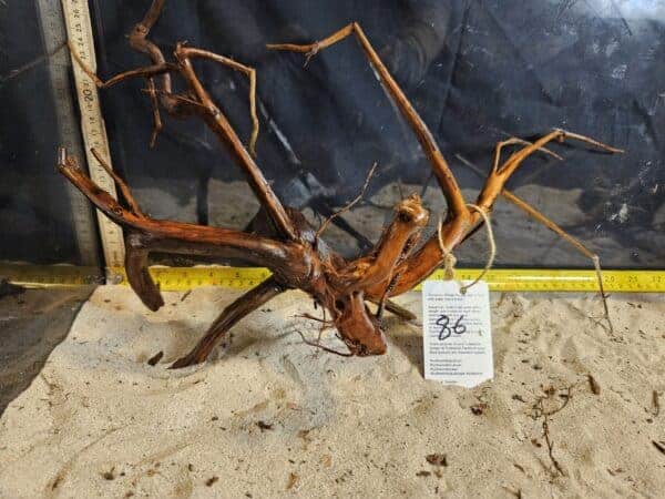 Tuskwood Aquascaping Root L Spider 30-40 nr86 A