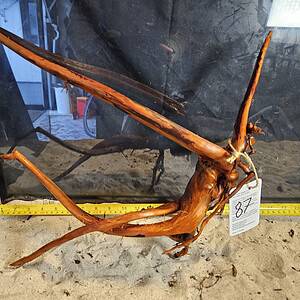 Tuskwood Aquascaping Root L Spider 30-40 nr87 A