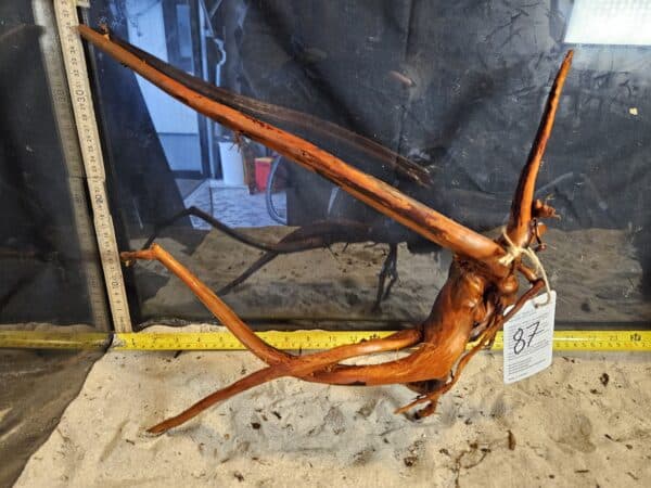 Tuskwood Aquascaping Root L Spider 30-40 nr87 A