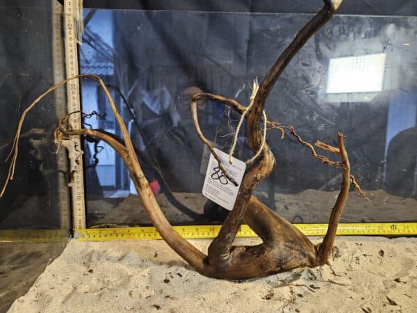 Tuskwood Aquascaping Root L Spider 30-40 nr88 A