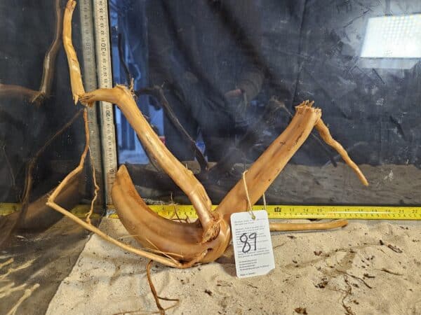 Tuskwood Aquascaping Root L Spider 30-40 nr89