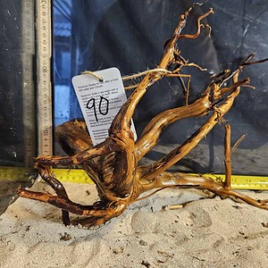 Tuskwood Aquascaping Root L Spider 30-40 nr90 A