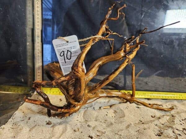 Tuskwood Aquascaping Root L Spider 30-40 nr90 A