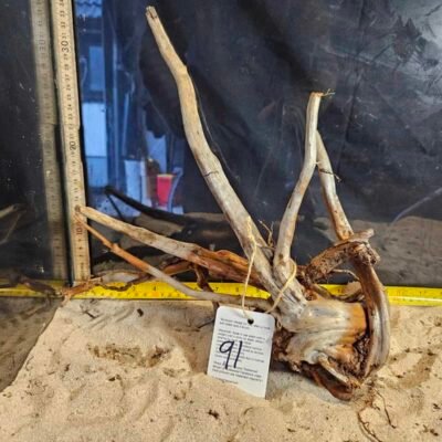 Tuskwood akvaariojuuri aidossa suopuussa