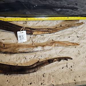 Tuskwood Aquascaping Single Root  XXL 50-70 Mix