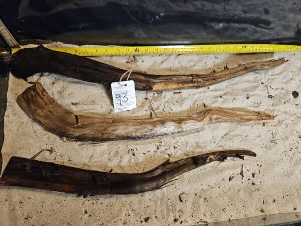 Tuskwood Aquascaping Single Root  XXL 50-70 Mix