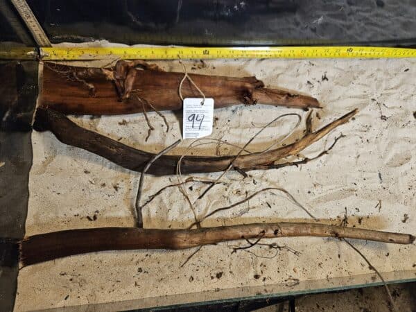 Tuskwood Aquascaping Single Root  XXL 50-70 Mix - Bild 6