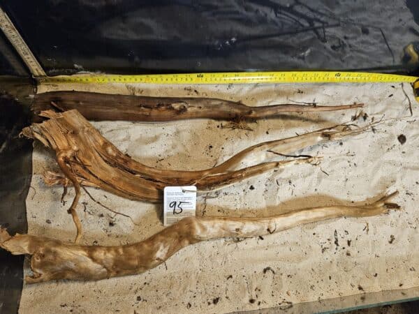 Tuskwood Aquascaping Single Root  XXL 50-70 Mix - Bild 7