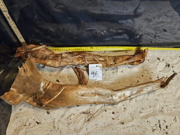 Tuskwood Aquascaping Single Root  XXL 50-70 Mix - Bild 9