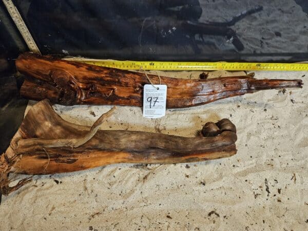 Tuskwood Aquascaping Single Root  XXL 50-70 Mix - Bild 10