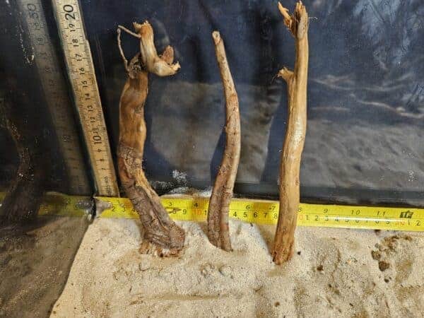 Tuskwood Aquascaping Single Root  S 10-20 Mix - Bild 7