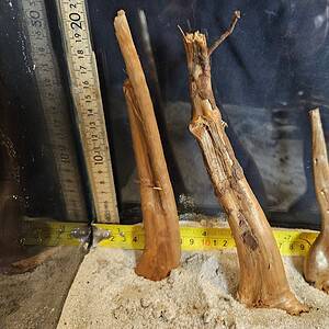 Tuskwood Aquascaping Single Root  S 10-20 Mix