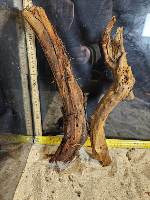 Tuskwood Aquascaping Single Root Gnarly M 30-40 Mix