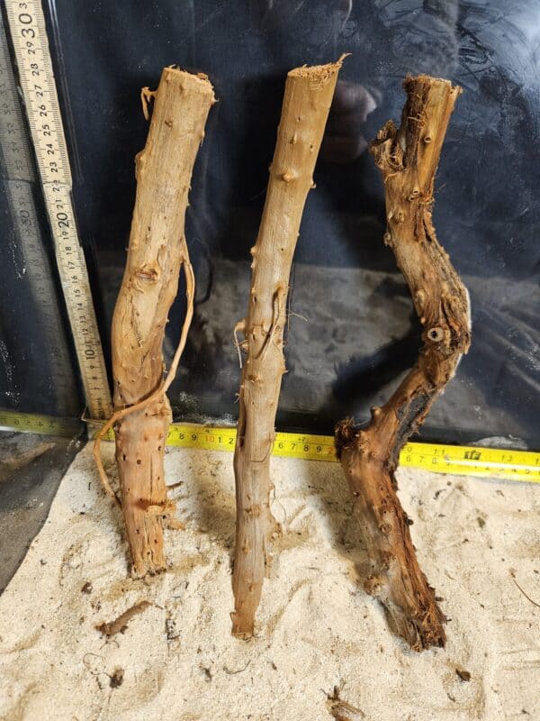 Tuskwood Aquascaping Single Root Gnarly M 30-40 Mix - Bild 6